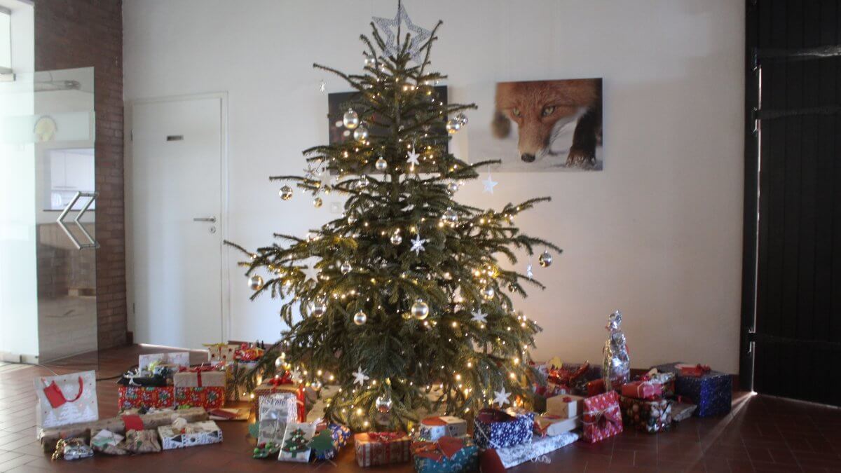 Geschmückter Tannenbaum mit Geschenken darunter